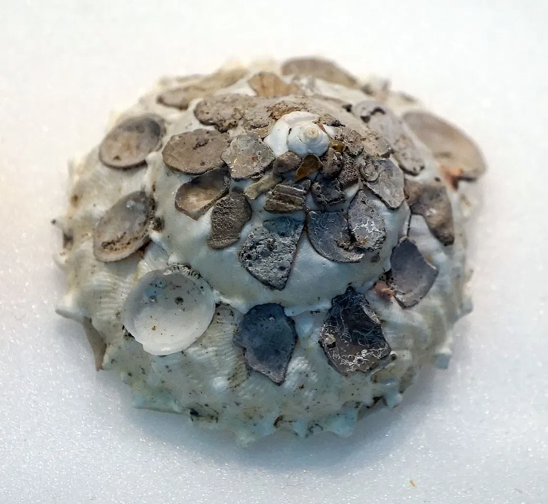 Sparkassen-Planetarium Augsburg