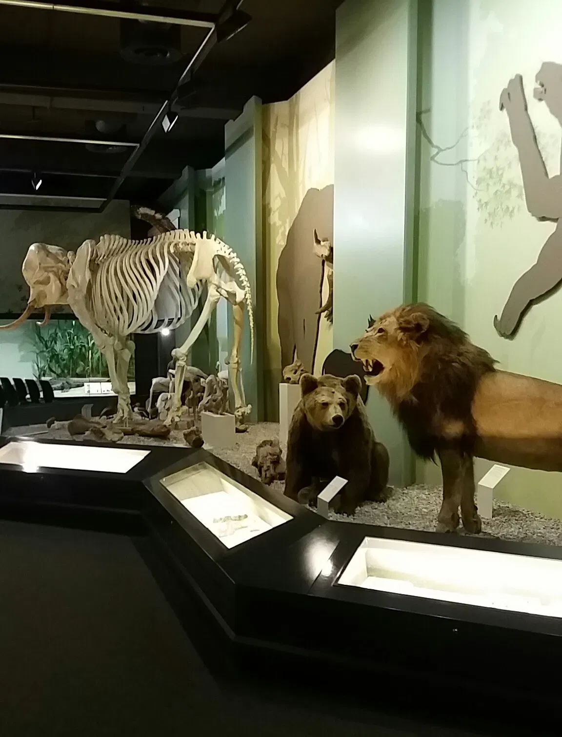 Sparkassen-Planetarium Augsburg