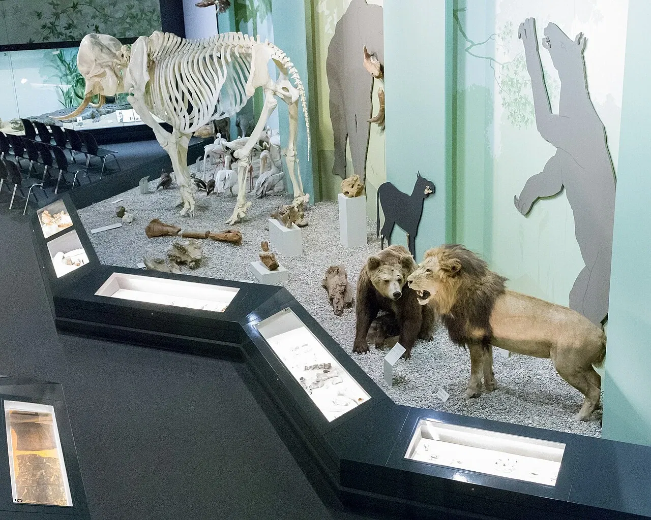 S-Planetarium and Nature Museum