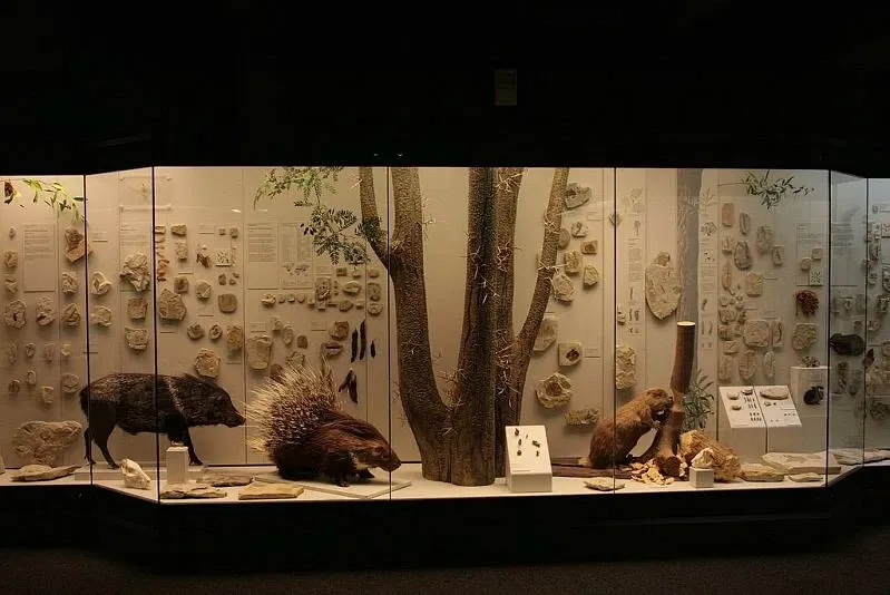 S-Planetarium and Nature Museum