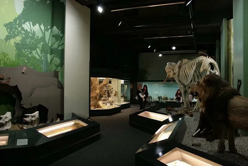 S-Planetarium and Nature Museum