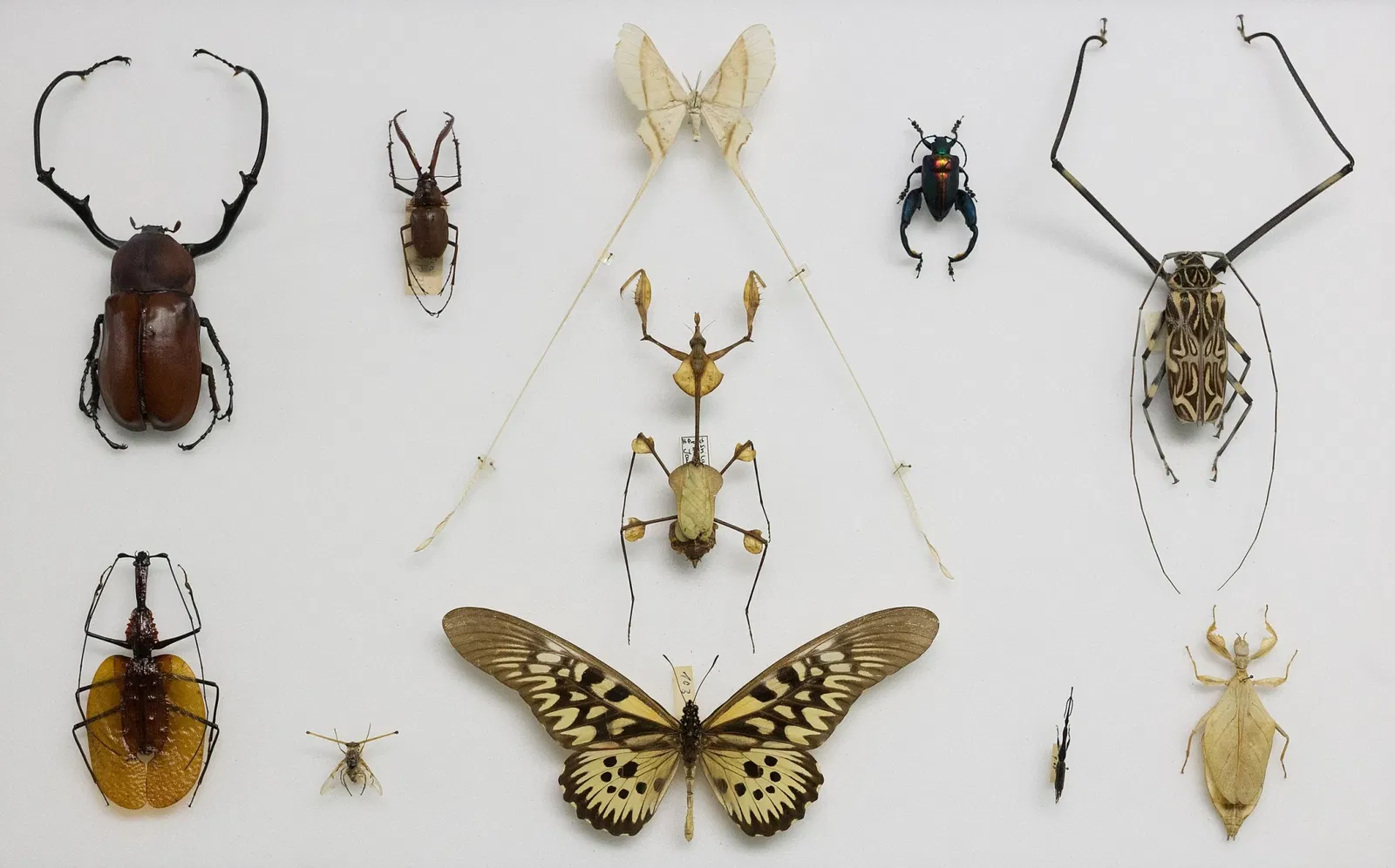 Sparkassen-Planetarium Augsburg