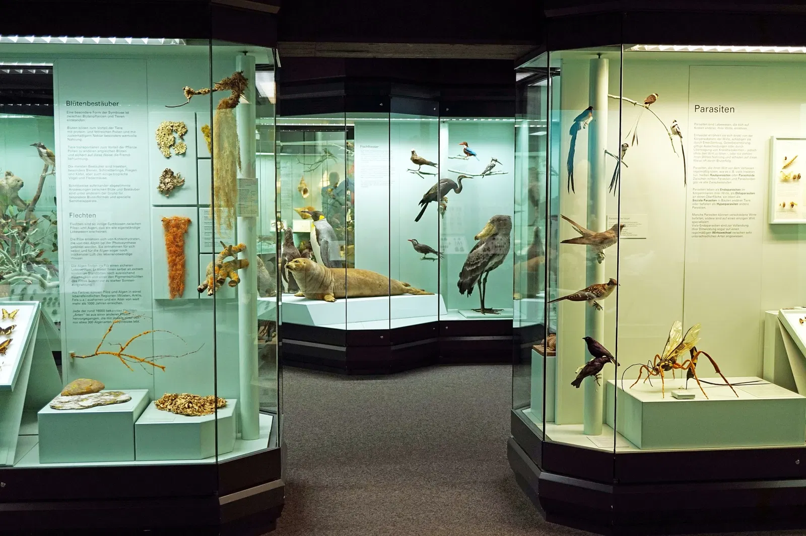 S-Planetarium and Nature Museum