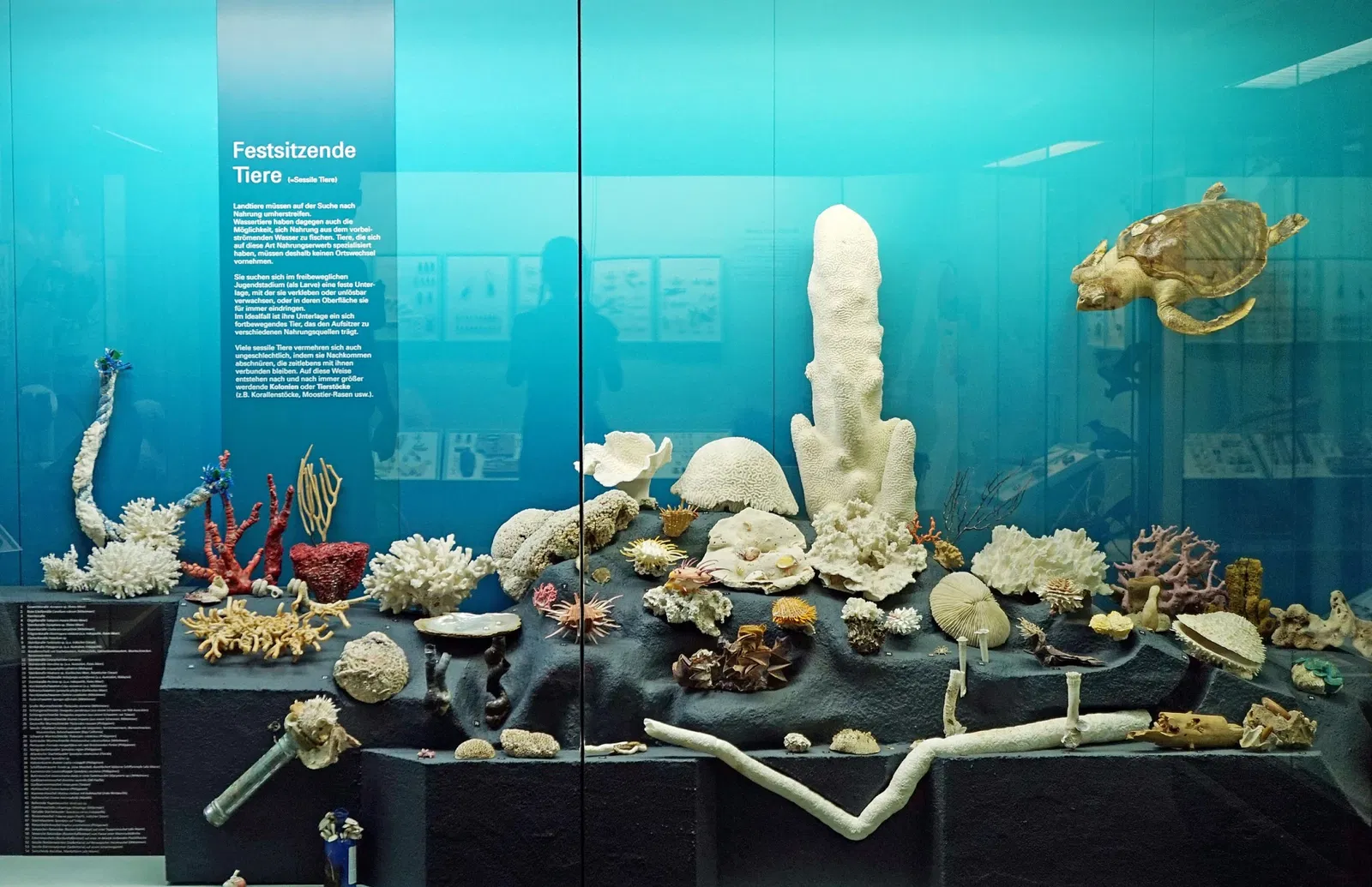 S-Planetarium and Nature Museum