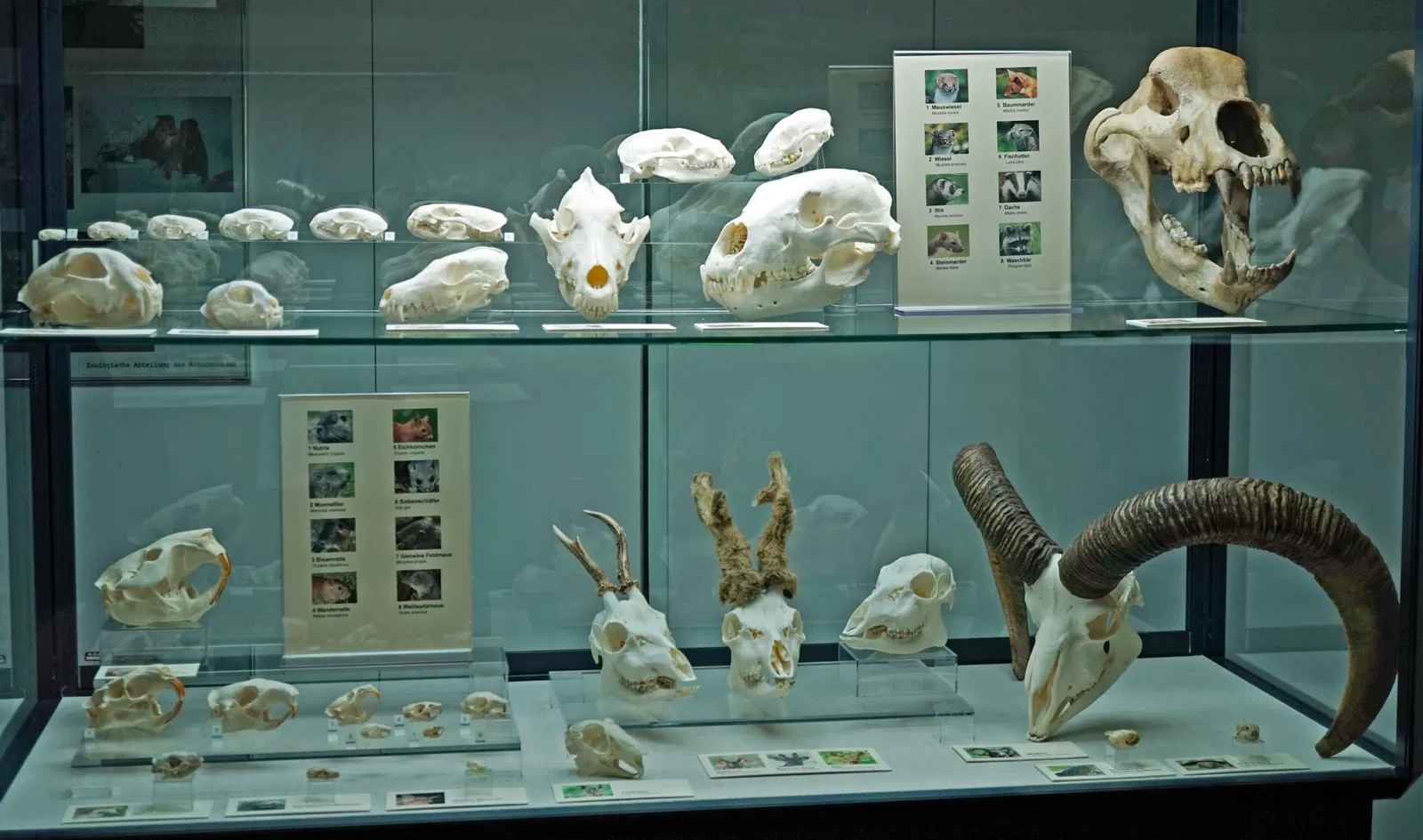 Sparkassen-Planetarium Augsburg