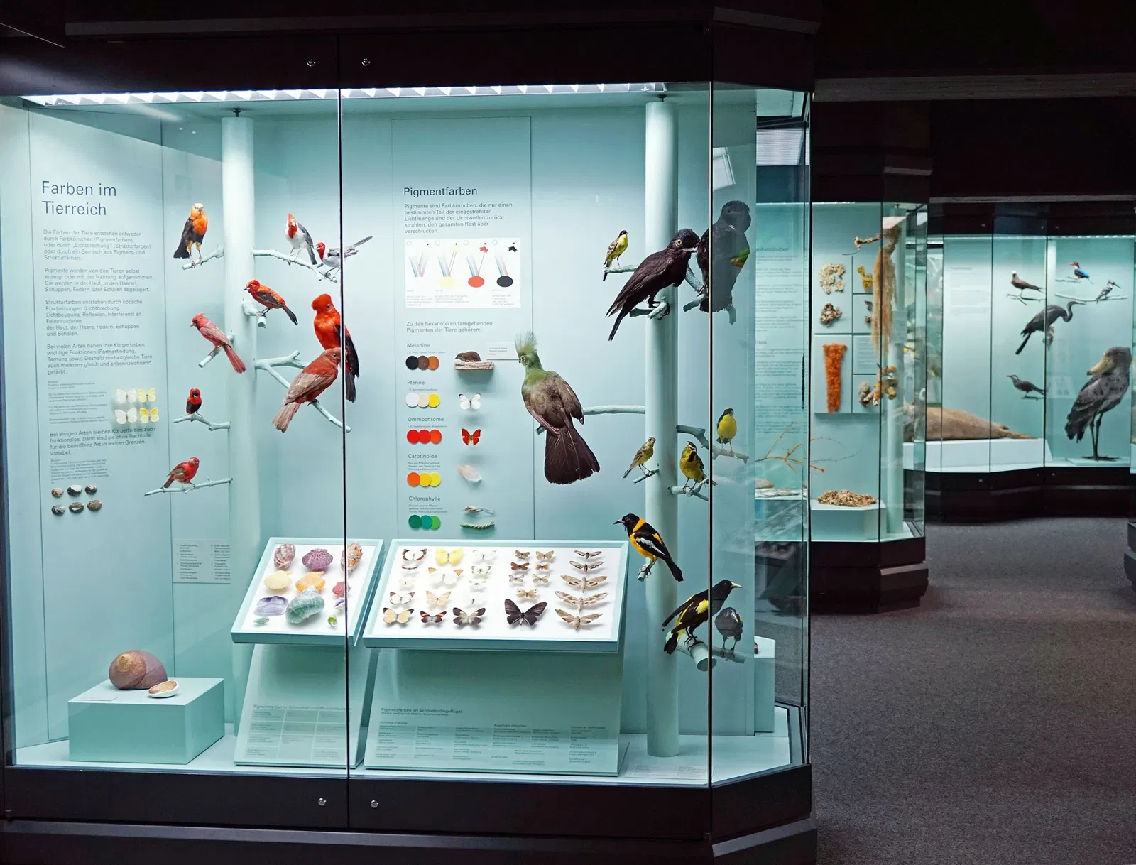 S-Planetarium and Nature Museum