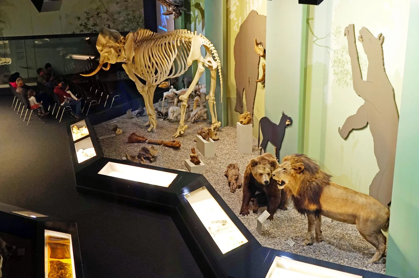 S-Planetarium and Nature Museum