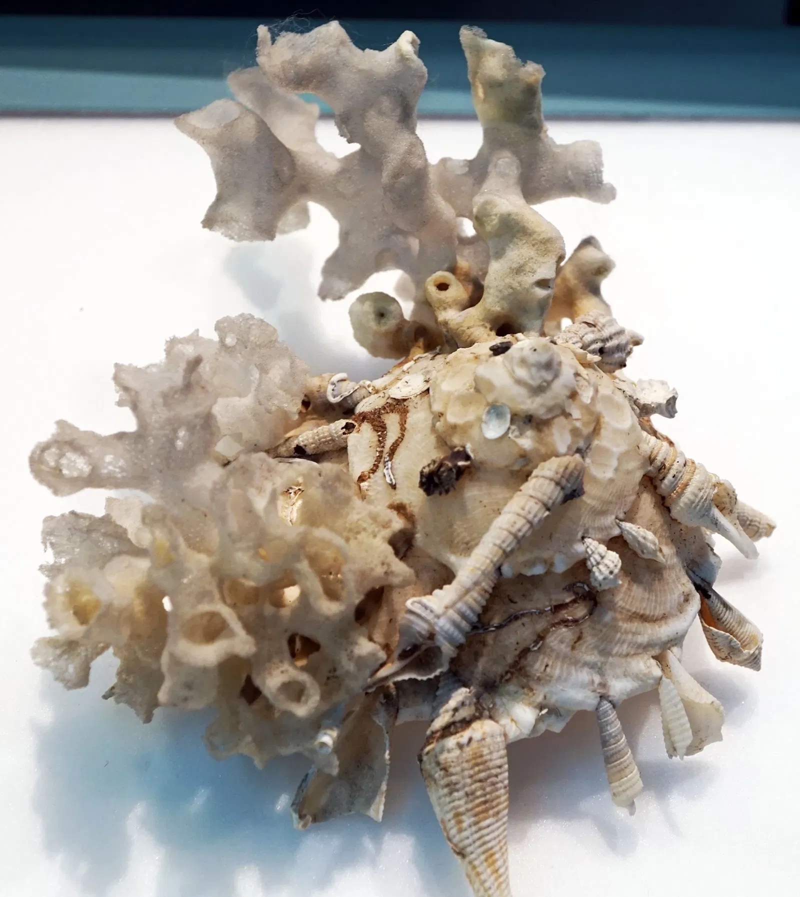 Sparkassen-Planetarium Augsburg