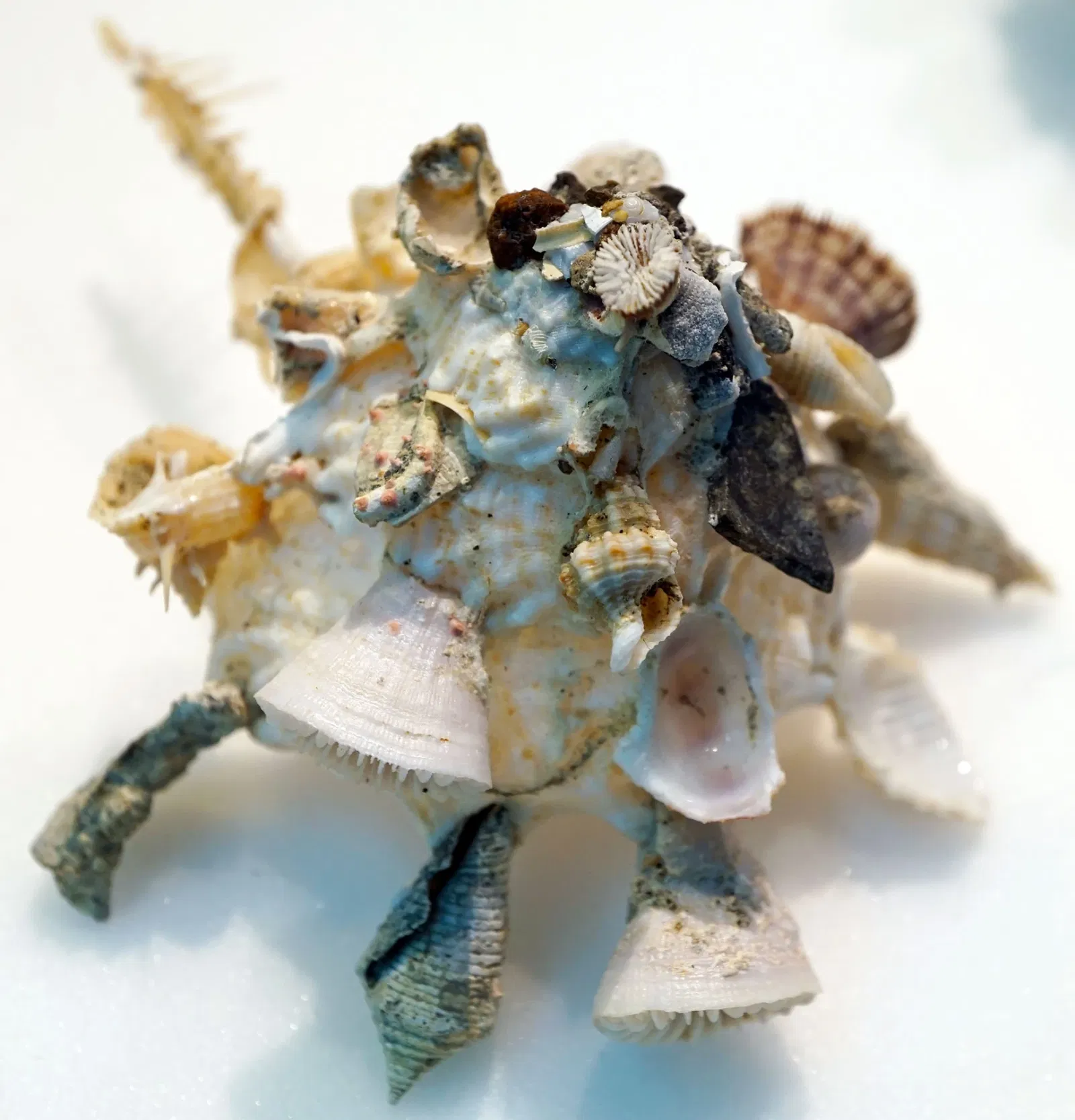 S-Planetarium and Nature Museum