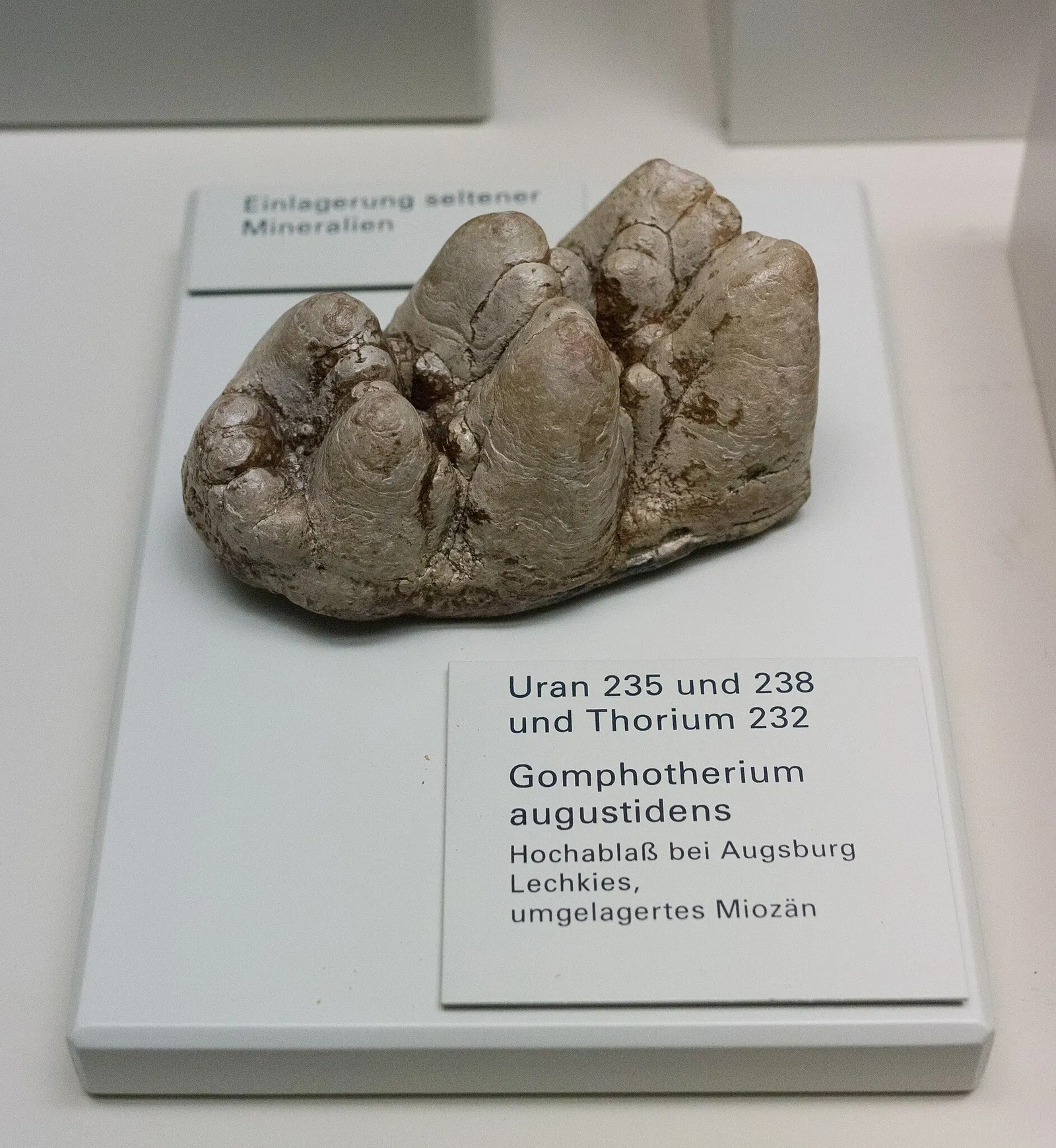 S-Planetarium and Nature Museum