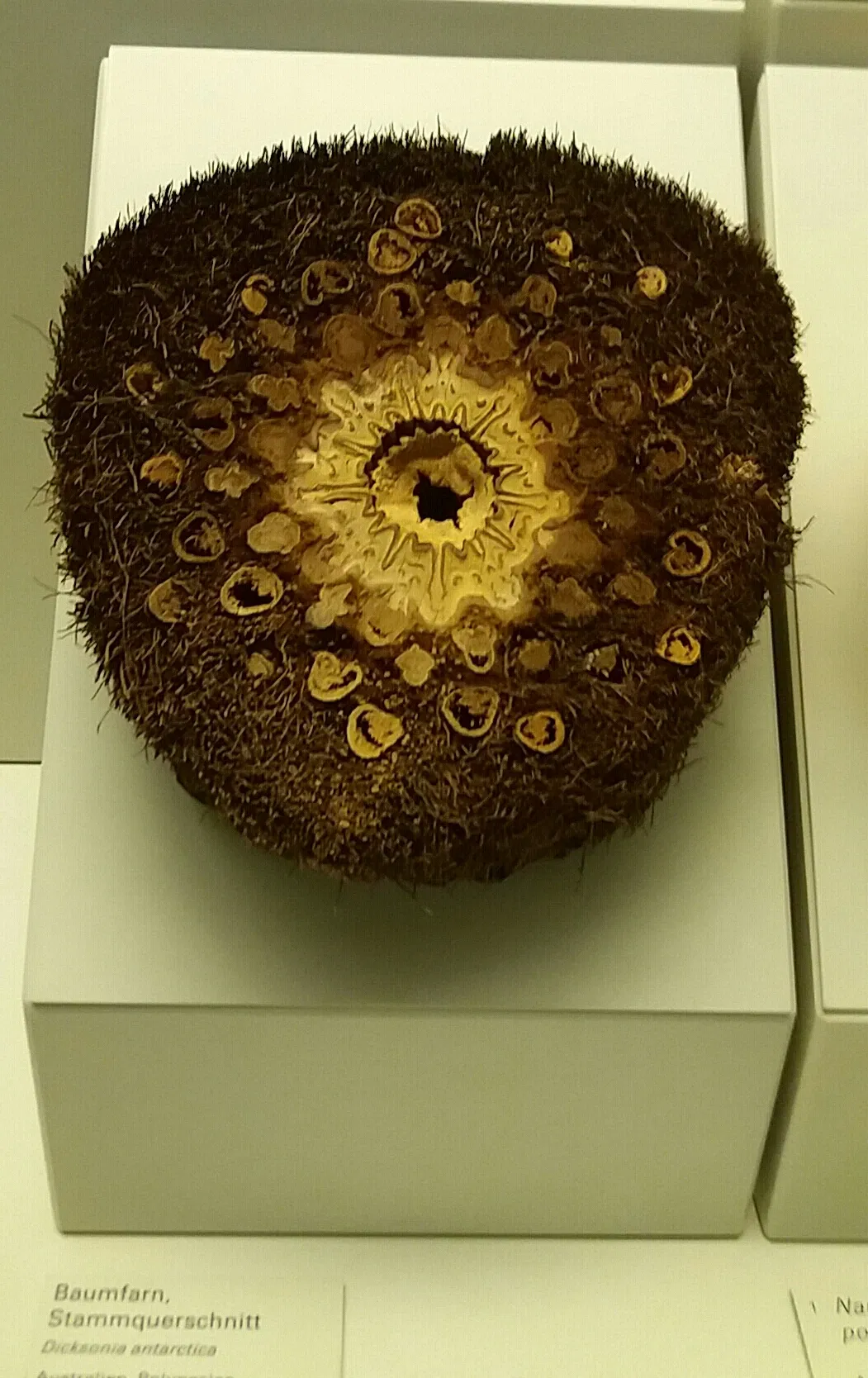 Sparkassen-Planetarium Augsburg