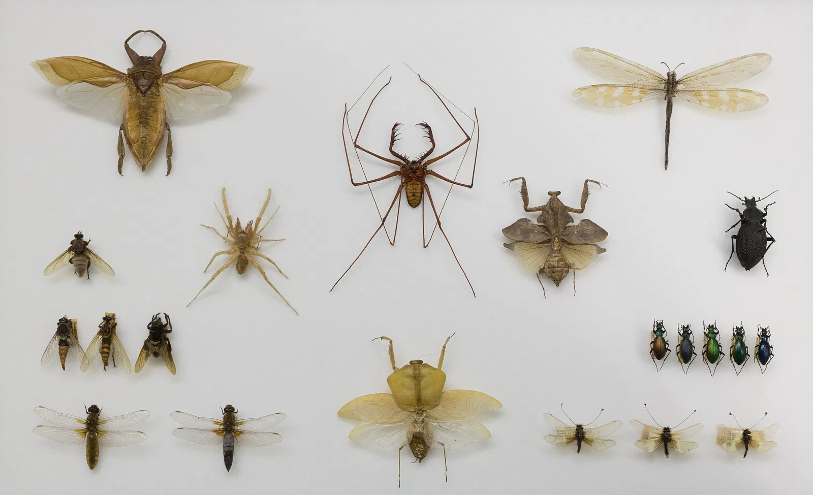 S-Planetarium and Nature Museum