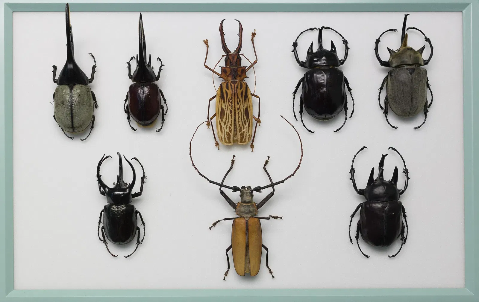 Sparkassen-Planetarium Augsburg