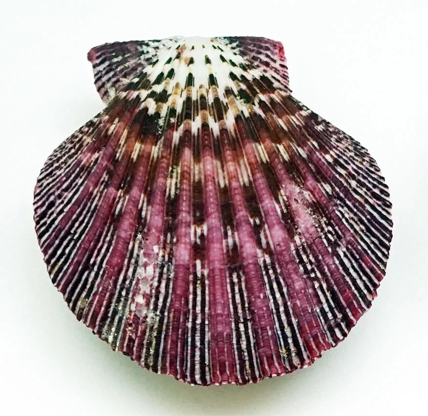 Sparkassen-Planetarium Augsburg