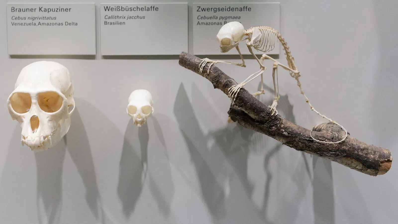 Sparkassen-Planetarium Augsburg