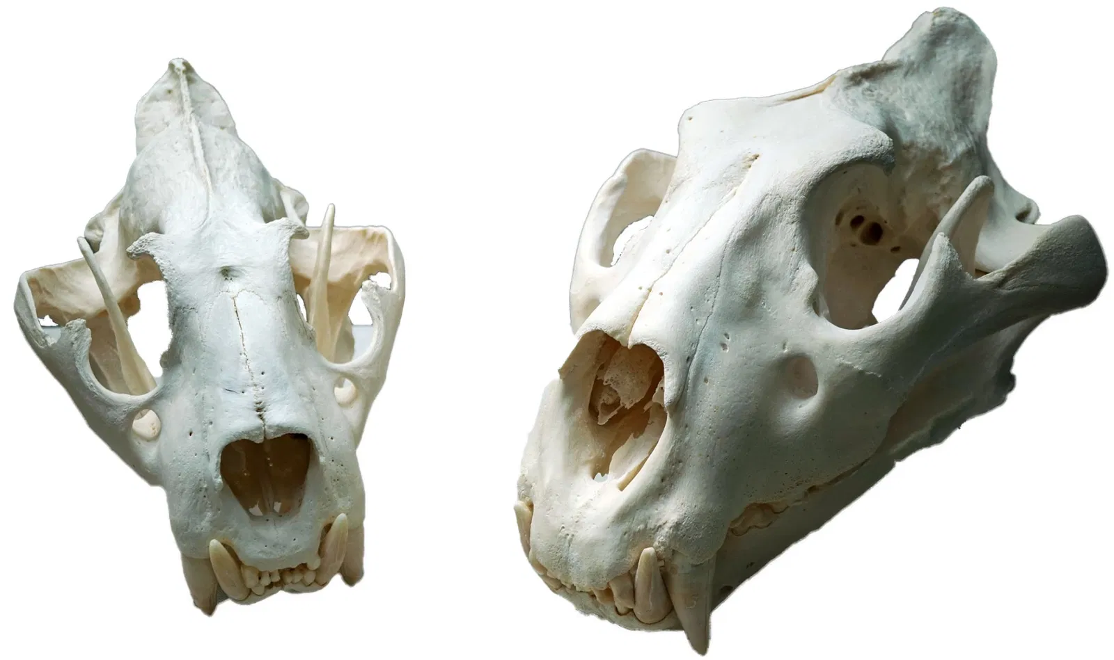 Sparkassen-Planetarium Augsburg