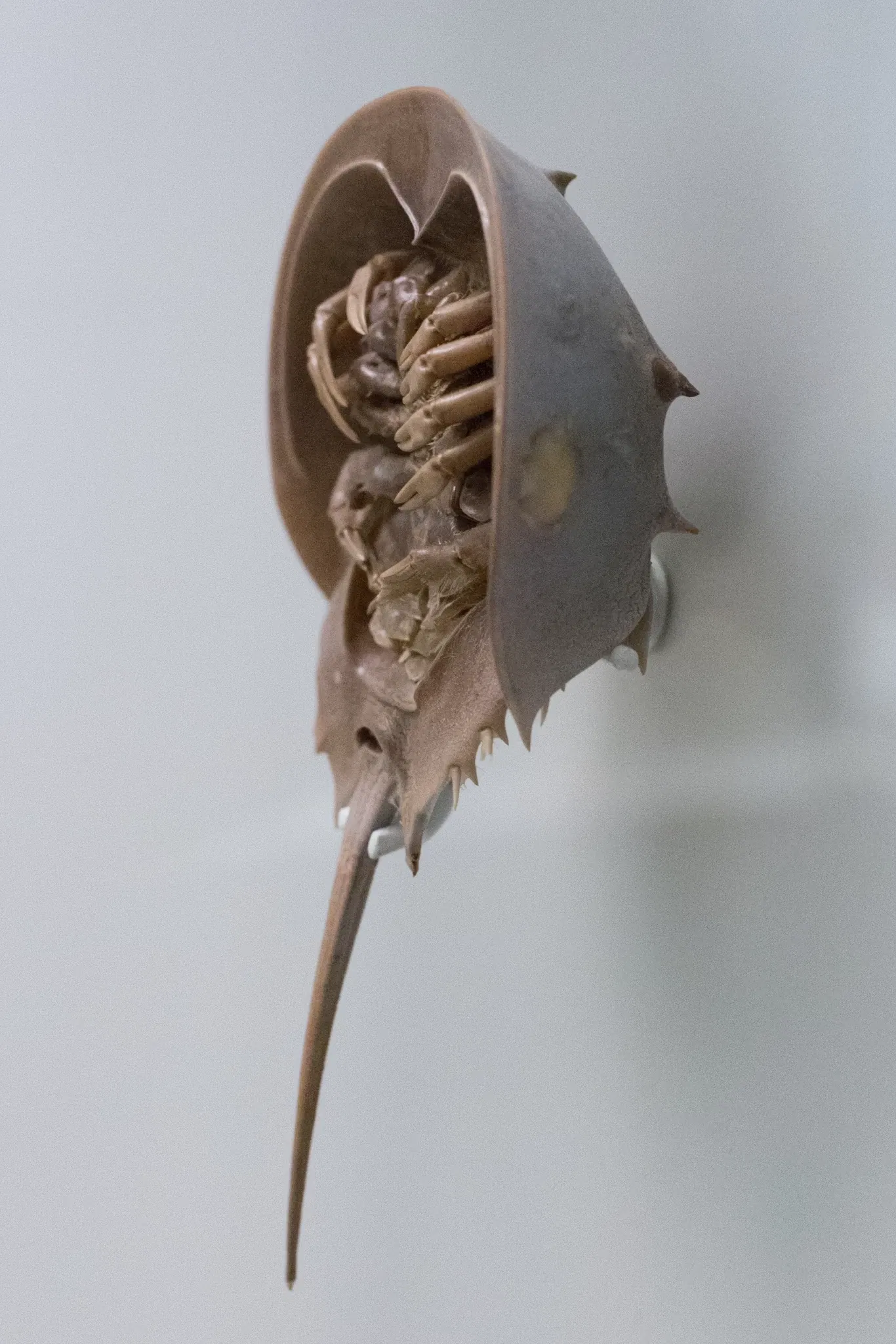 Sparkassen-Planetarium Augsburg