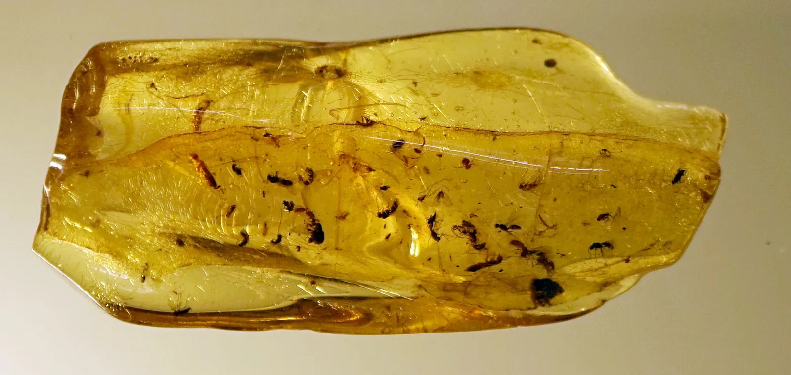 Sparkassen-Planetarium Augsburg