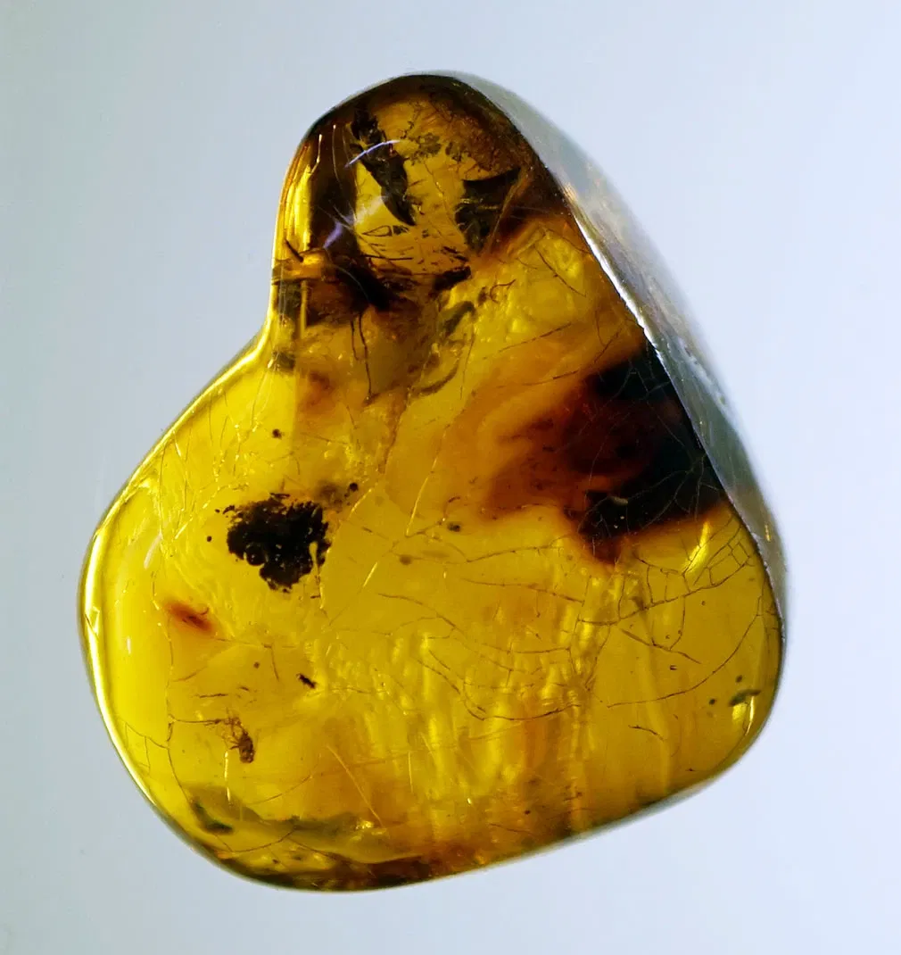 S-Planetarium and Nature Museum