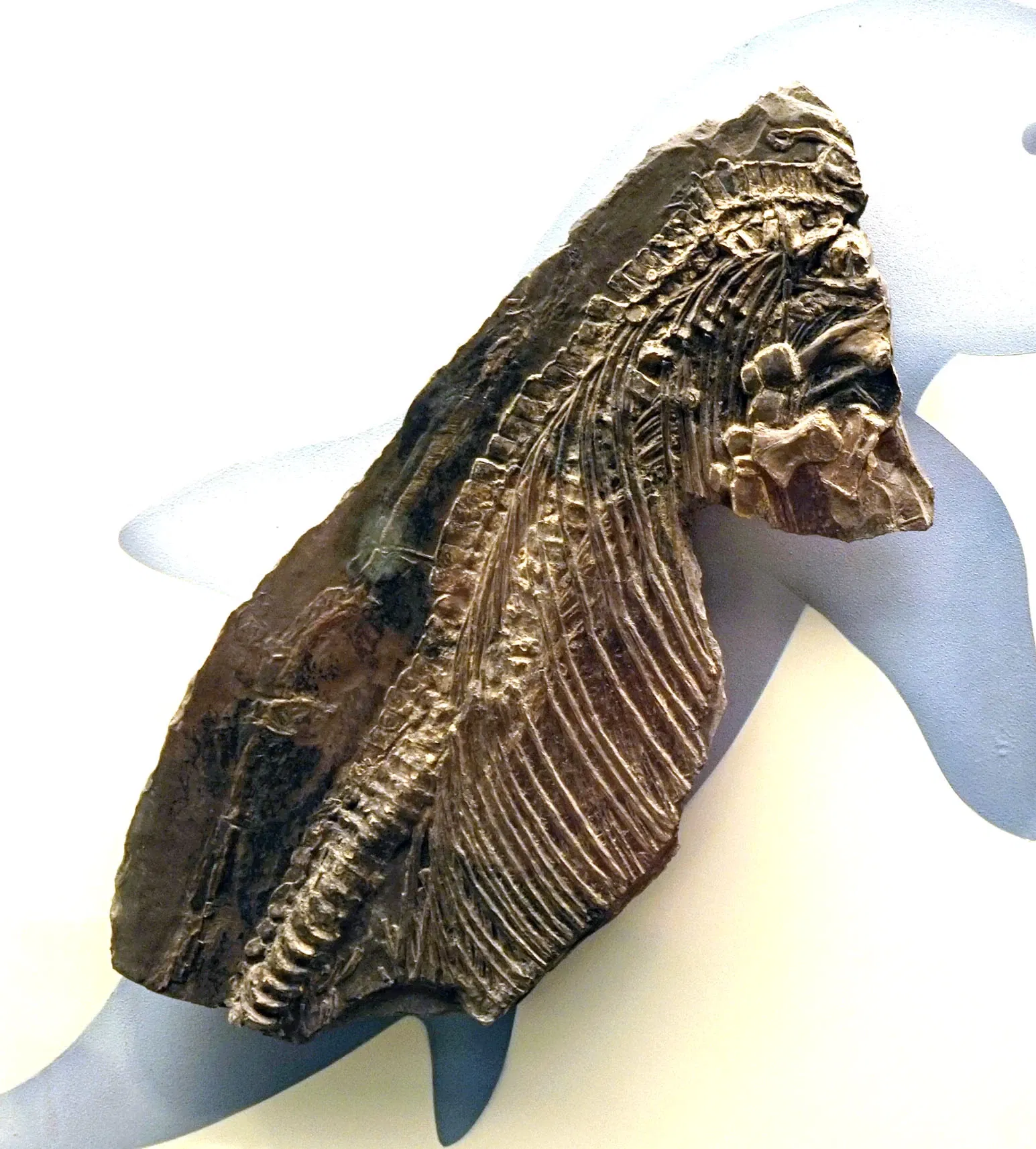 Sparkassen-Planetarium Augsburg