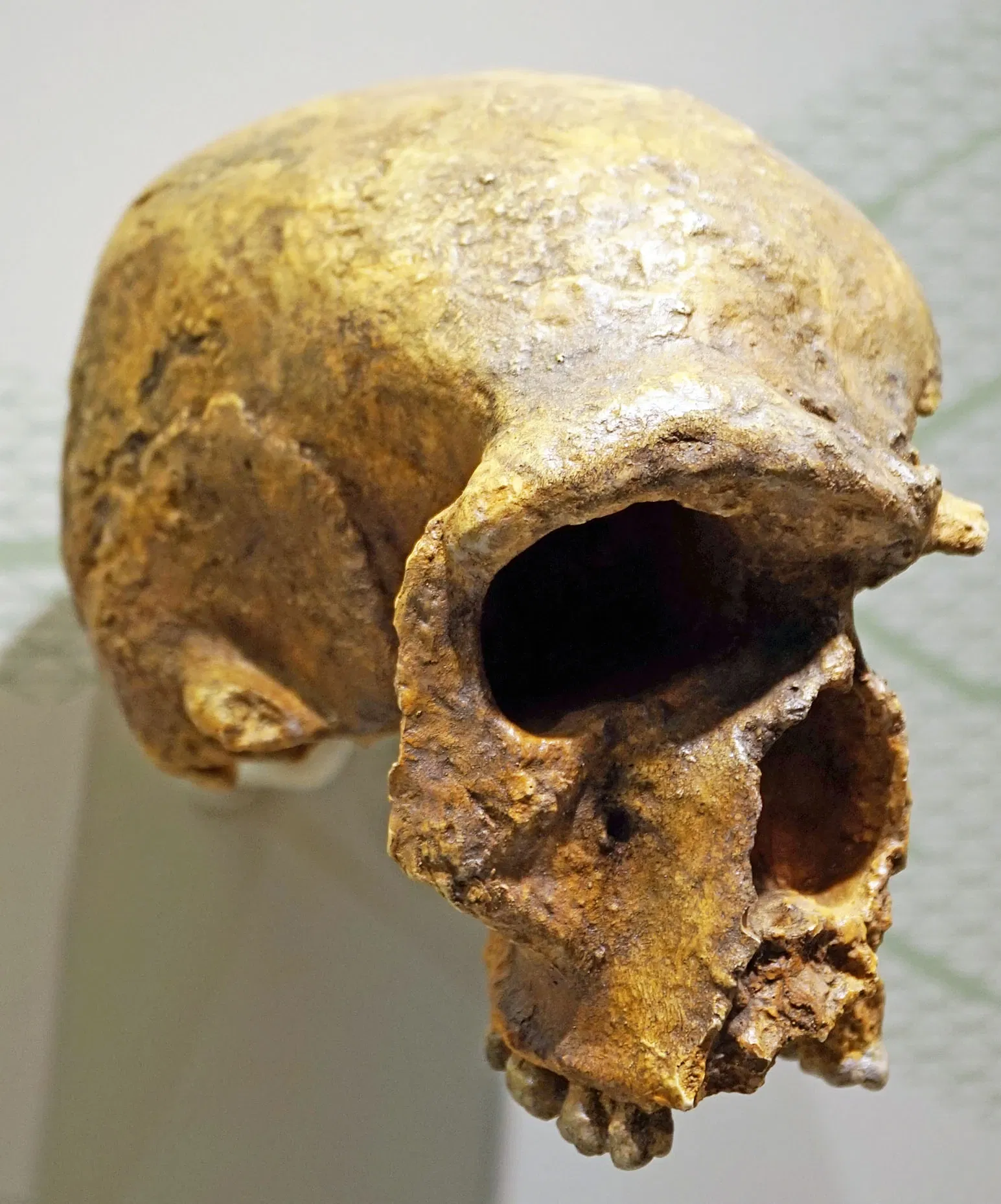 Sparkassen-Planetarium Augsburg