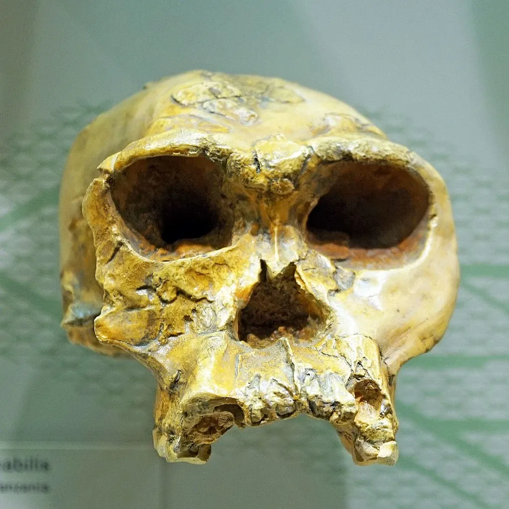 S-Planetarium and Nature Museum