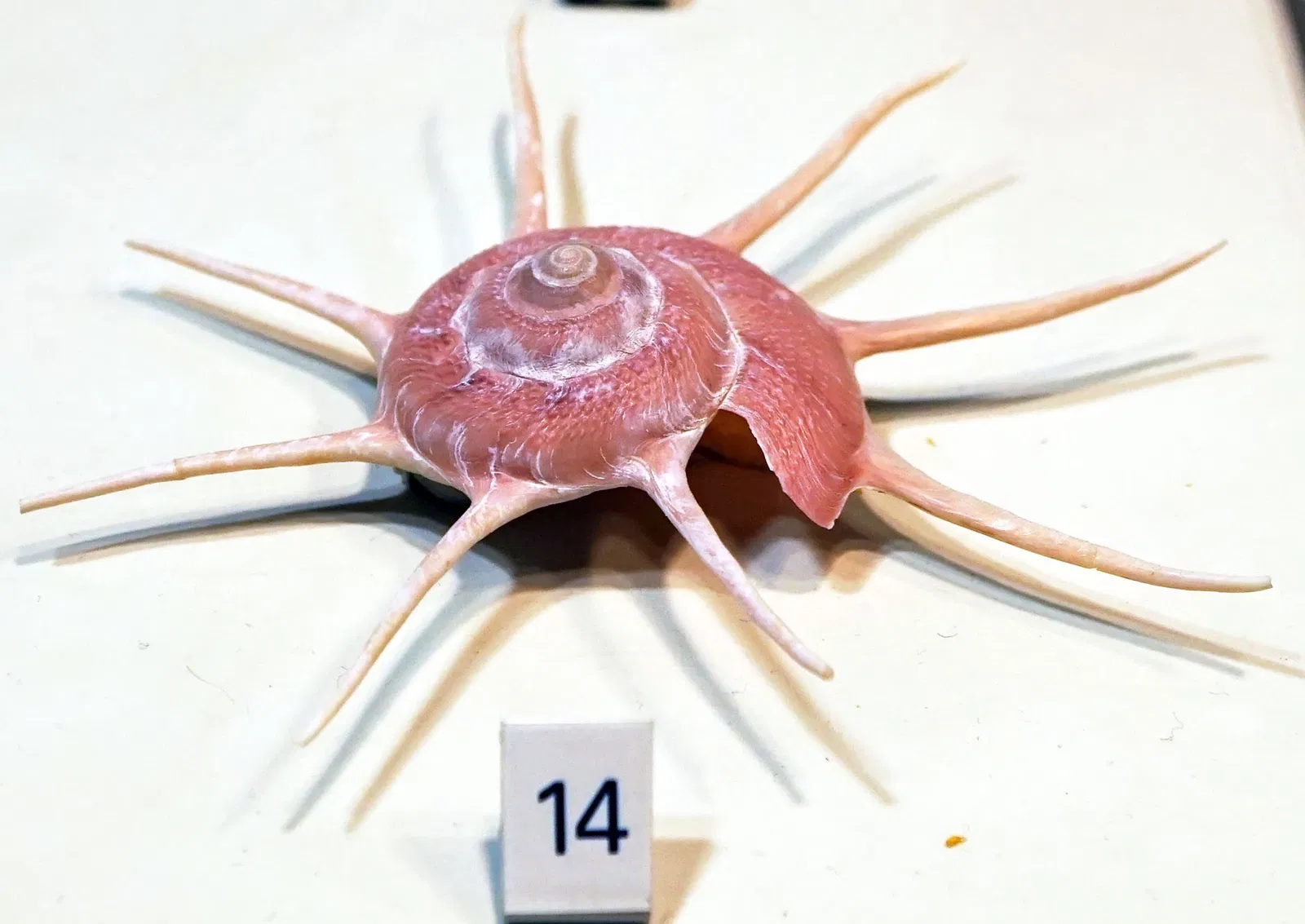 S-Planetarium and Nature Museum