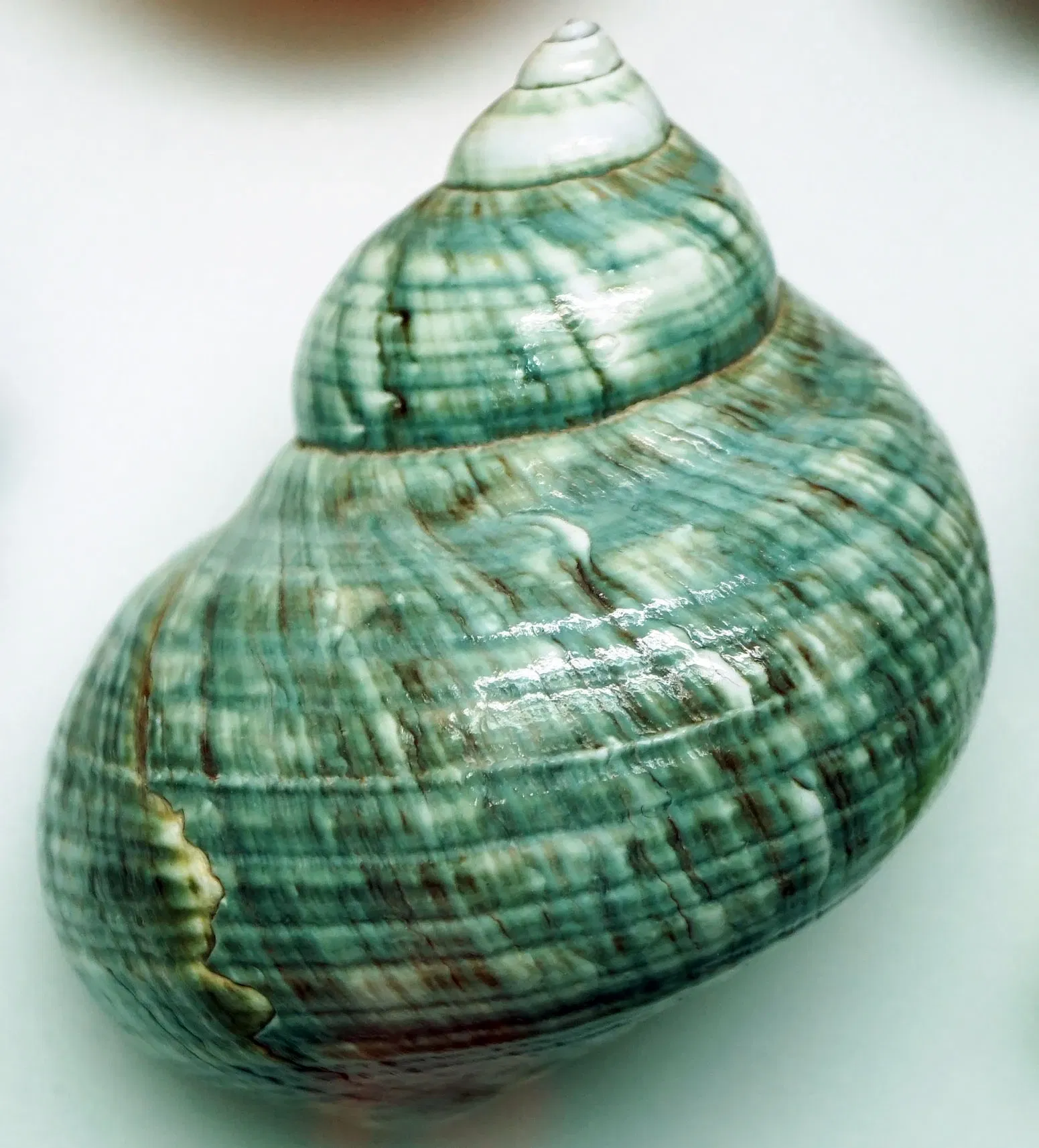 Sparkassen-Planetarium Augsburg