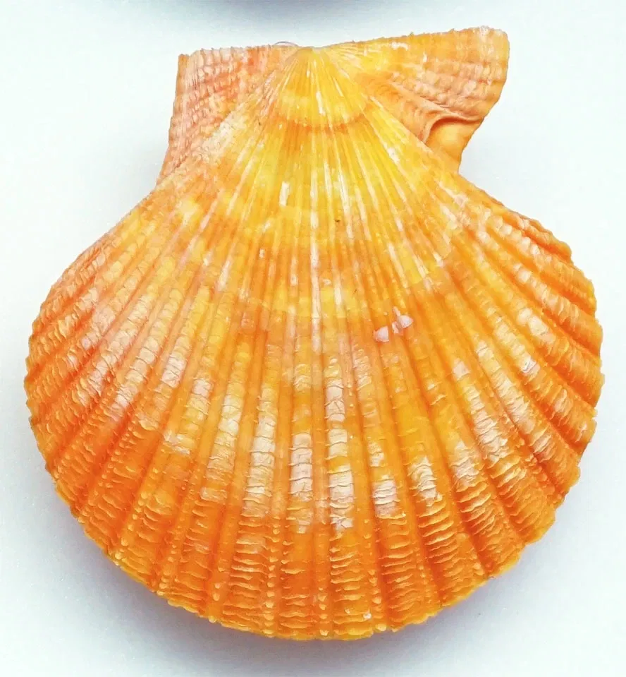 Sparkassen-Planetarium Augsburg