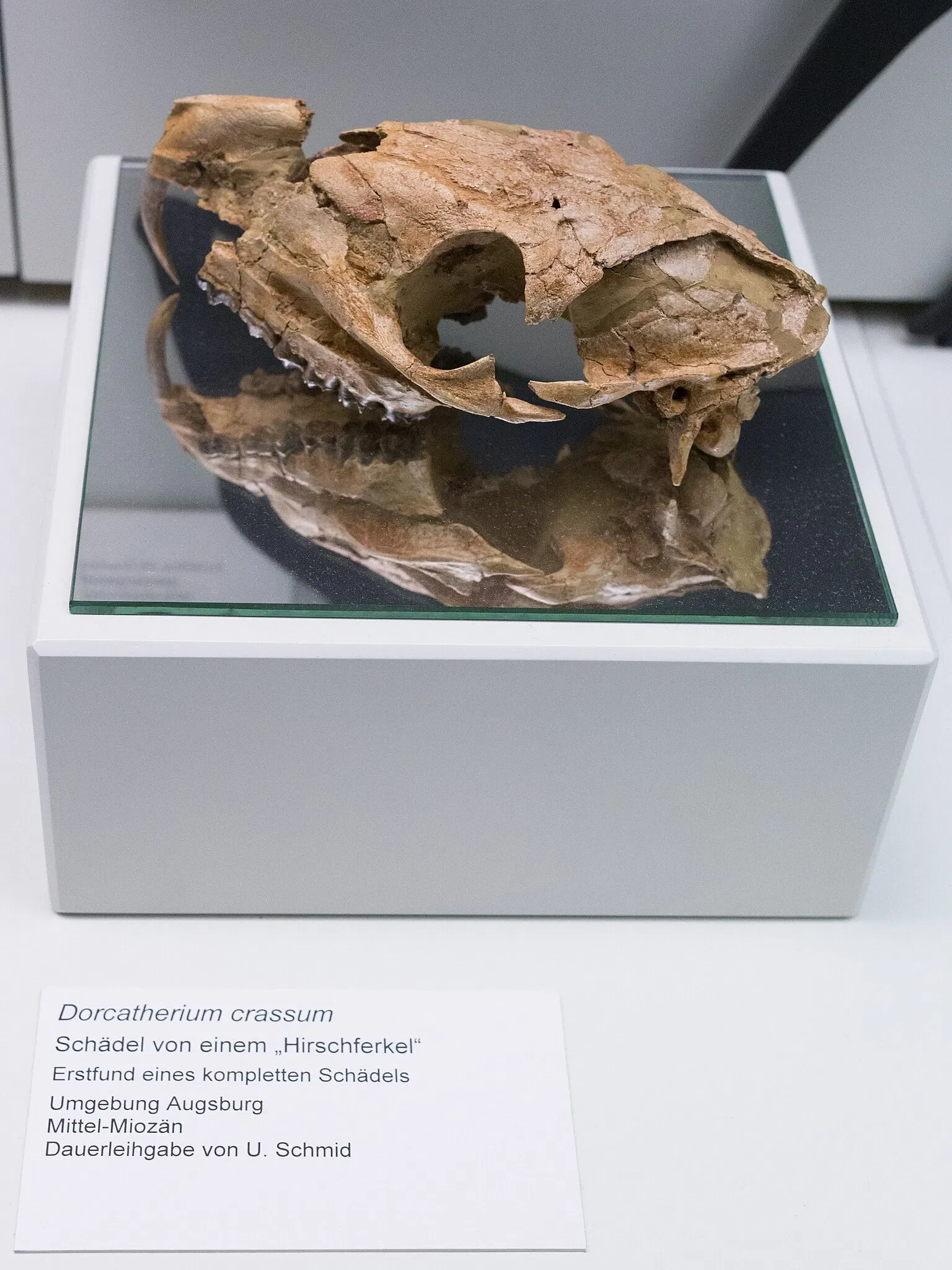 Sparkassen-Planetarium Augsburg