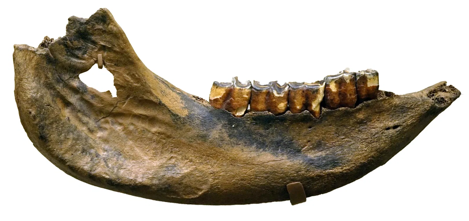 Sparkassen-Planetarium Augsburg