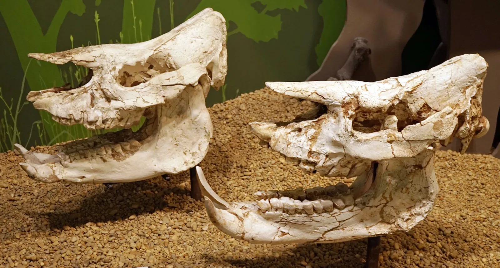 Sparkassen-Planetarium Augsburg