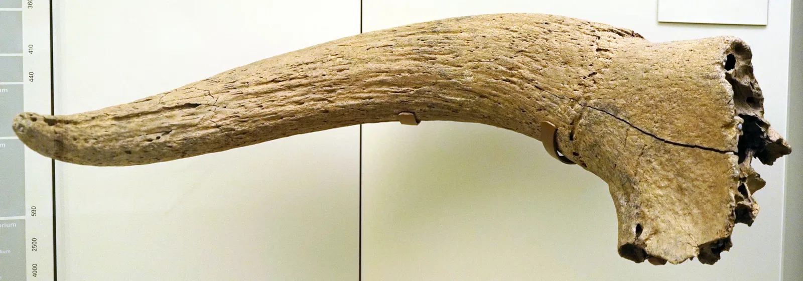 S-Planetarium and Nature Museum