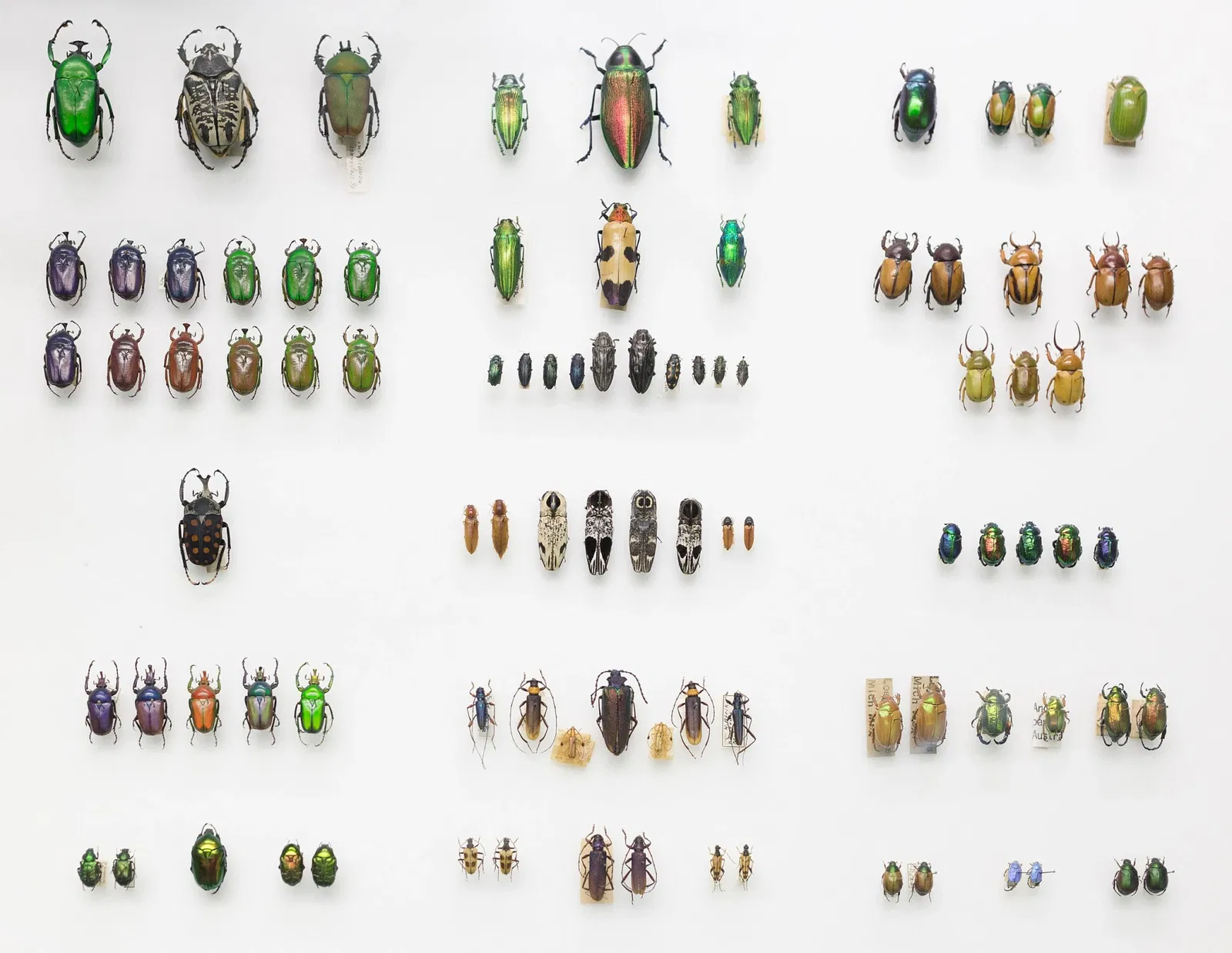 S-Planetarium and Nature Museum