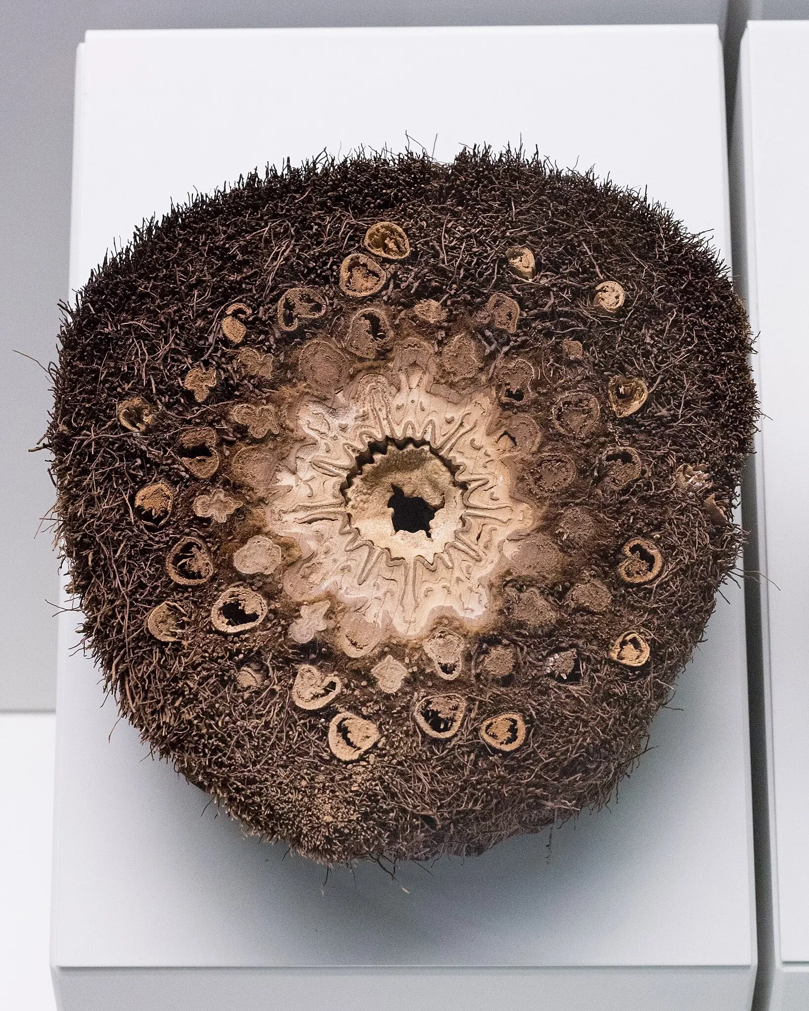 Sparkassen-Planetarium Augsburg