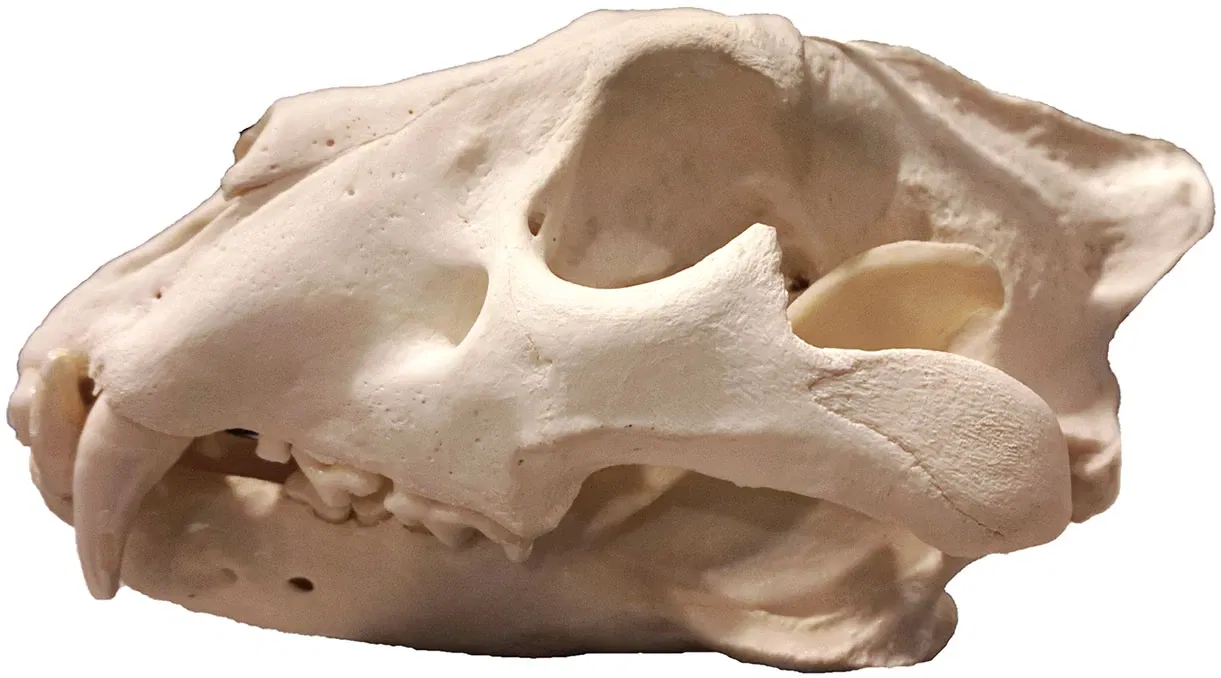 Sparkassen-Planetarium Augsburg