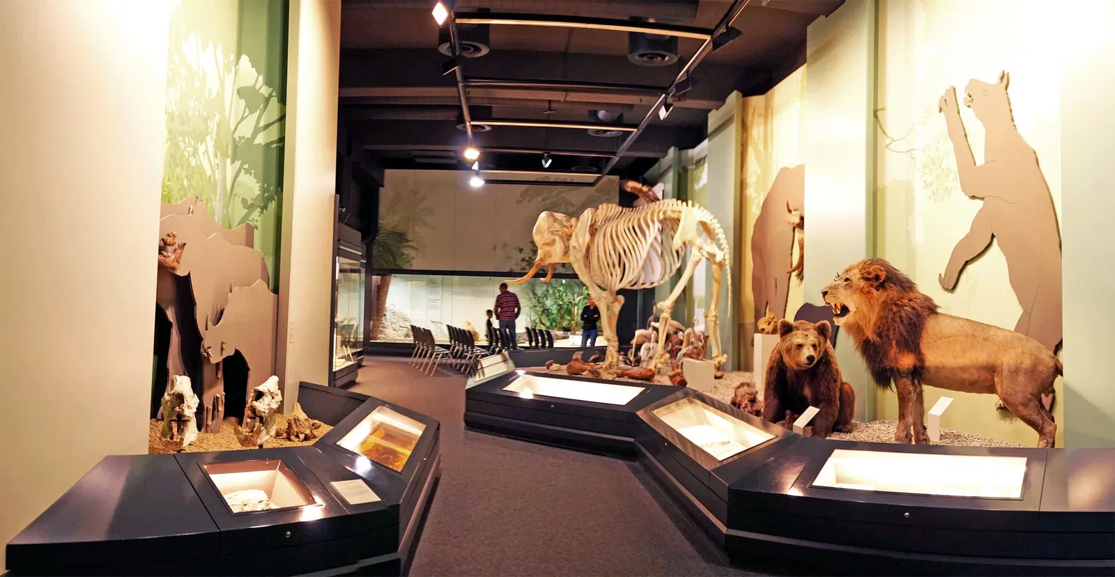 S-Planetarium and Nature Museum