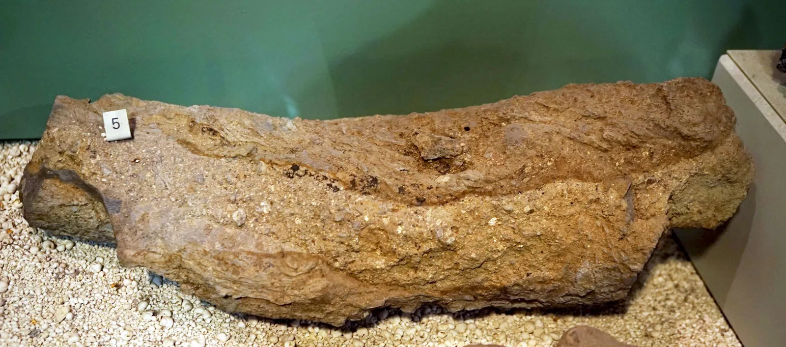 S-Planetarium and Nature Museum