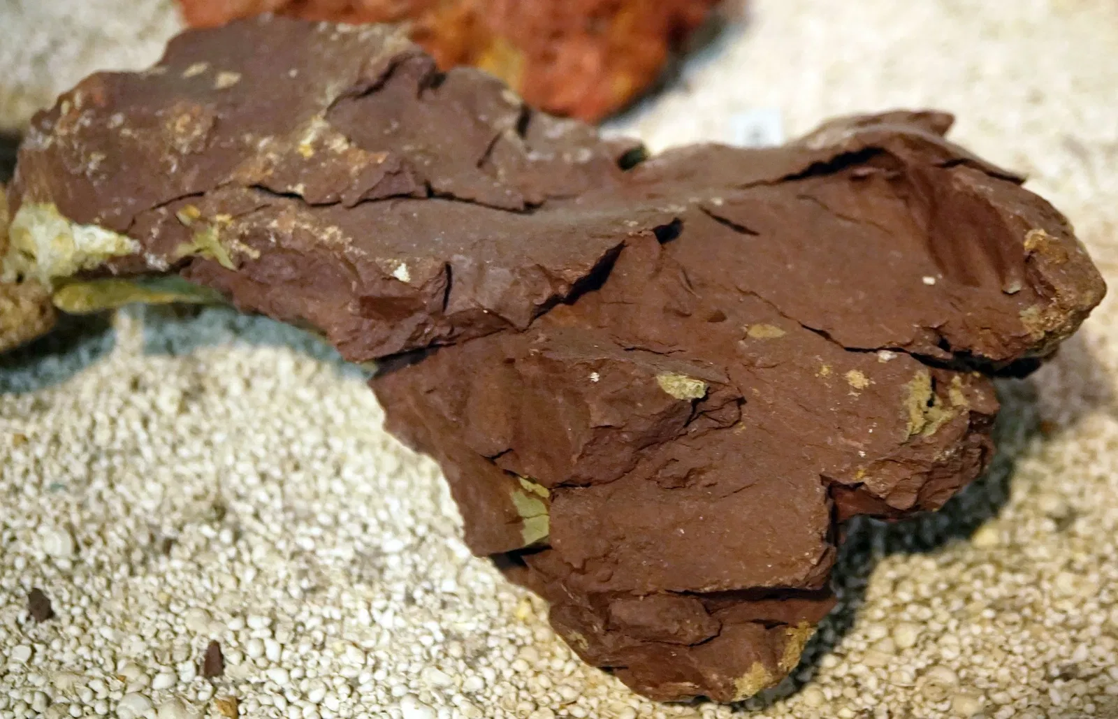 S-Planetarium and Nature Museum