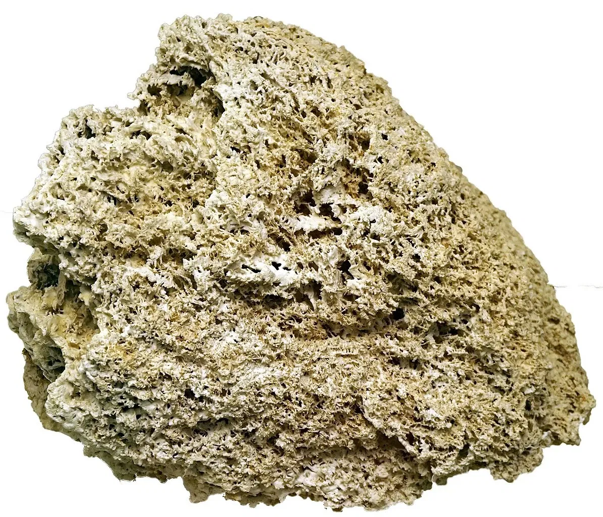 S-Planetarium and Nature Museum