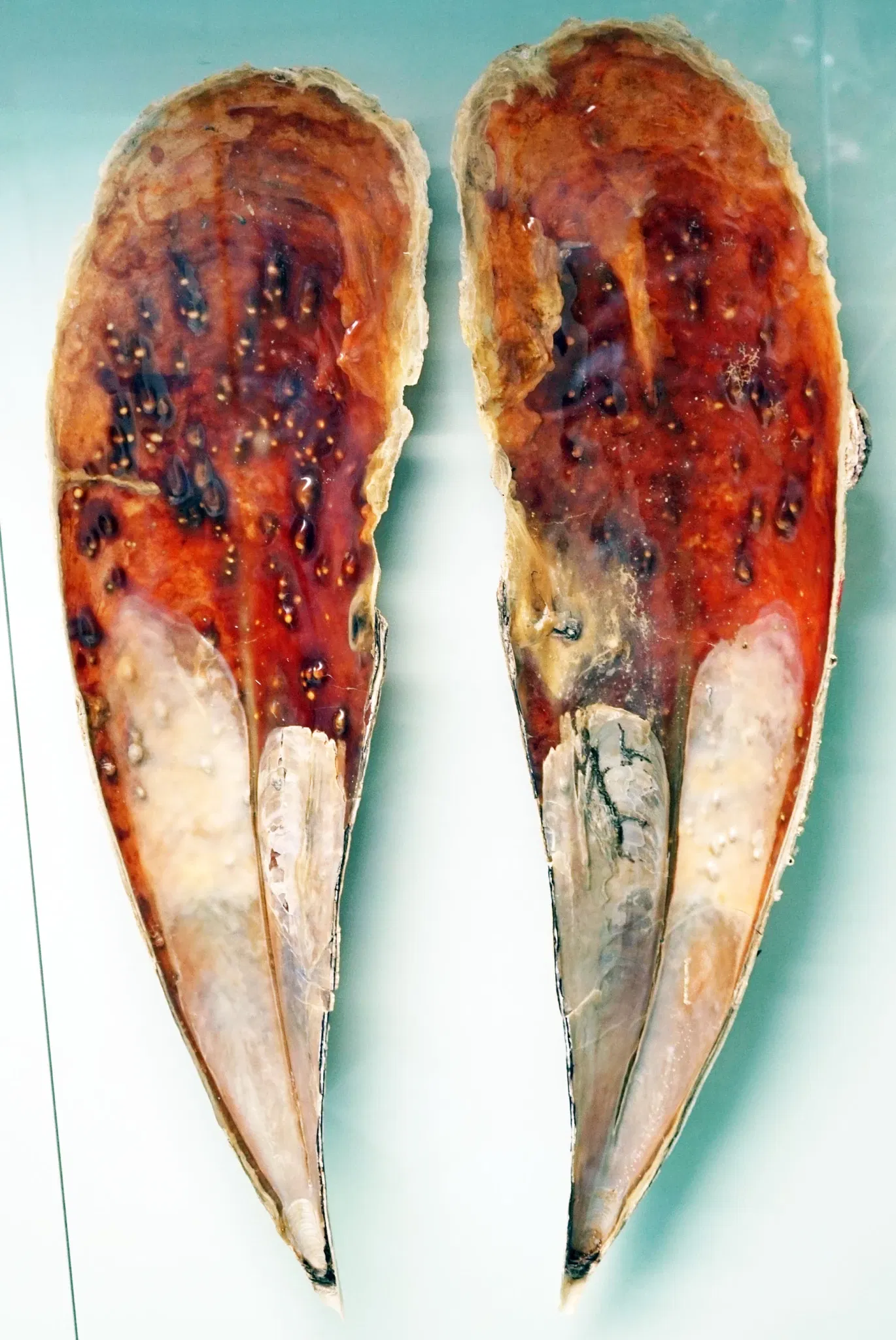 Sparkassen-Planetarium Augsburg