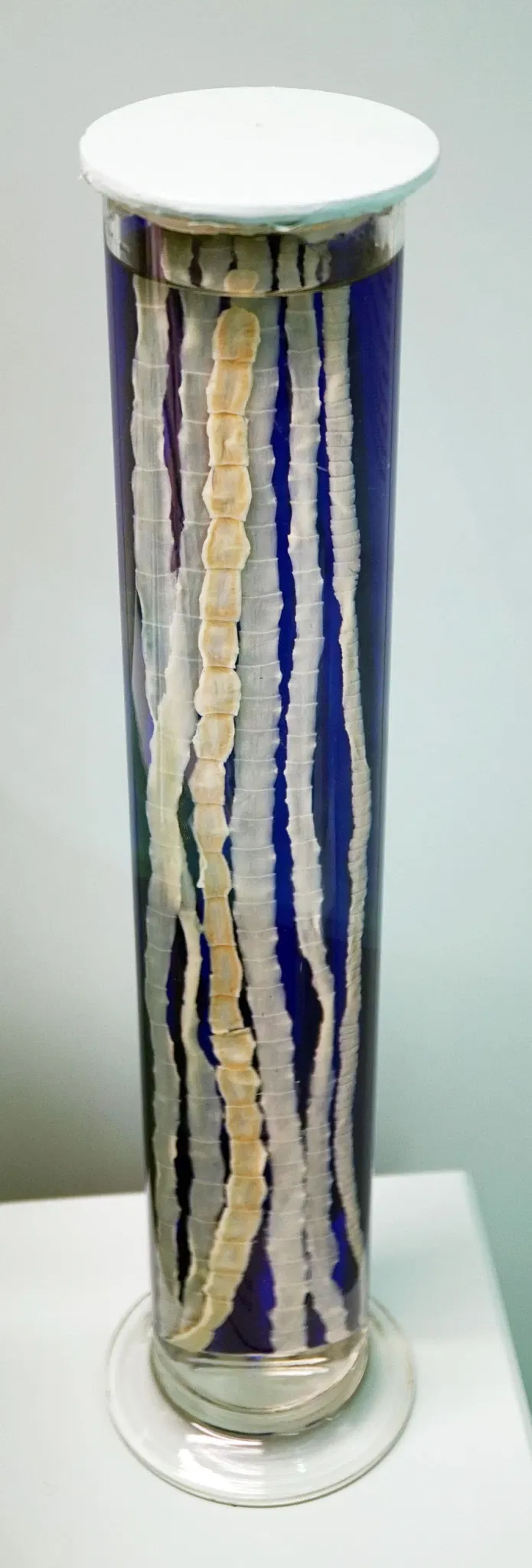 Sparkassen-Planetarium Augsburg