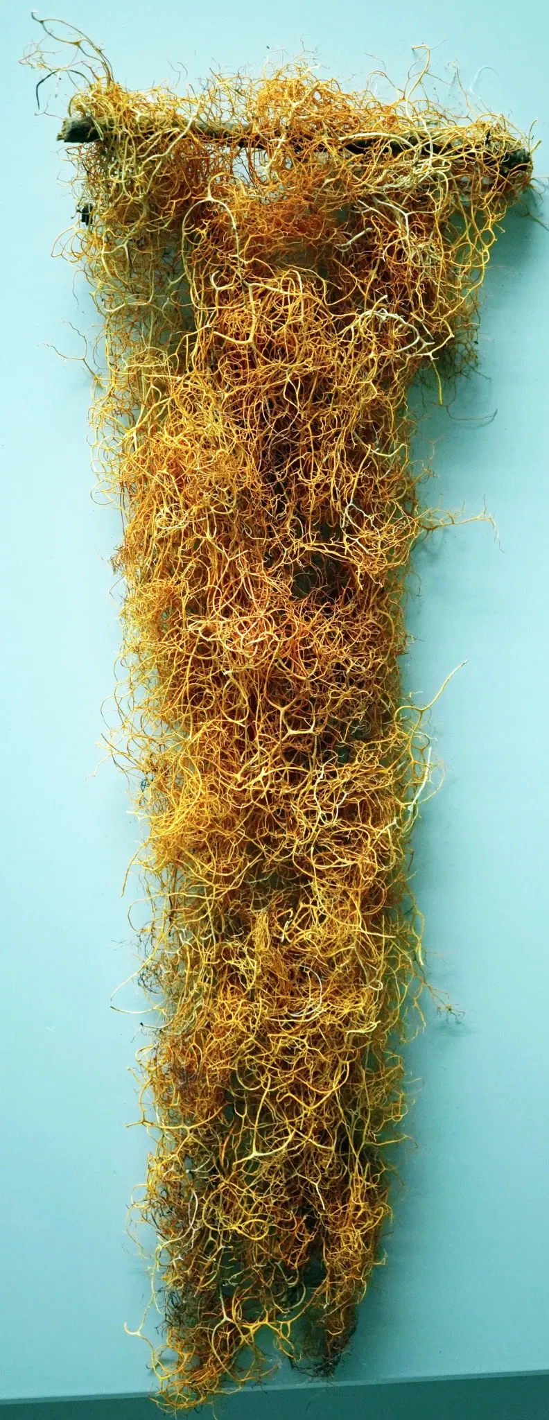 Sparkassen-Planetarium Augsburg