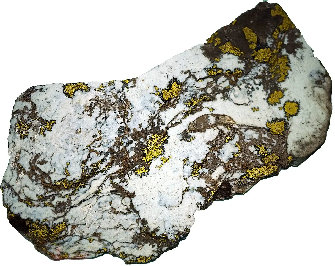 S-Planetarium and Nature Museum