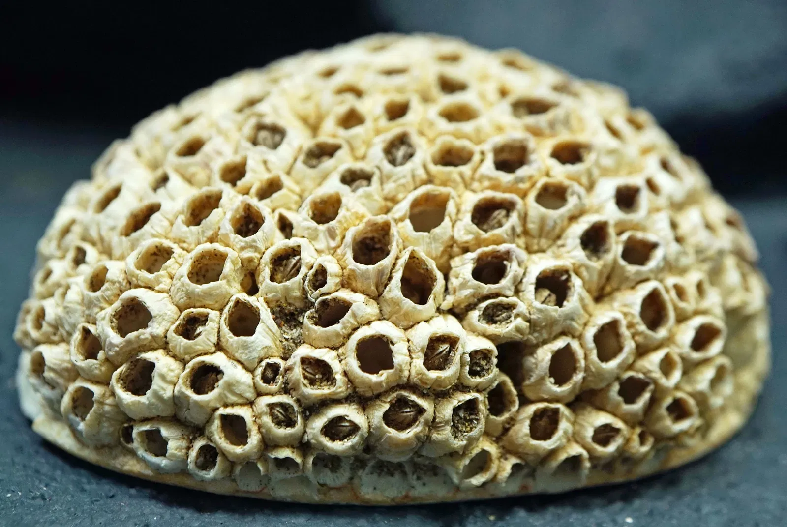 Sparkassen-Planetarium Augsburg