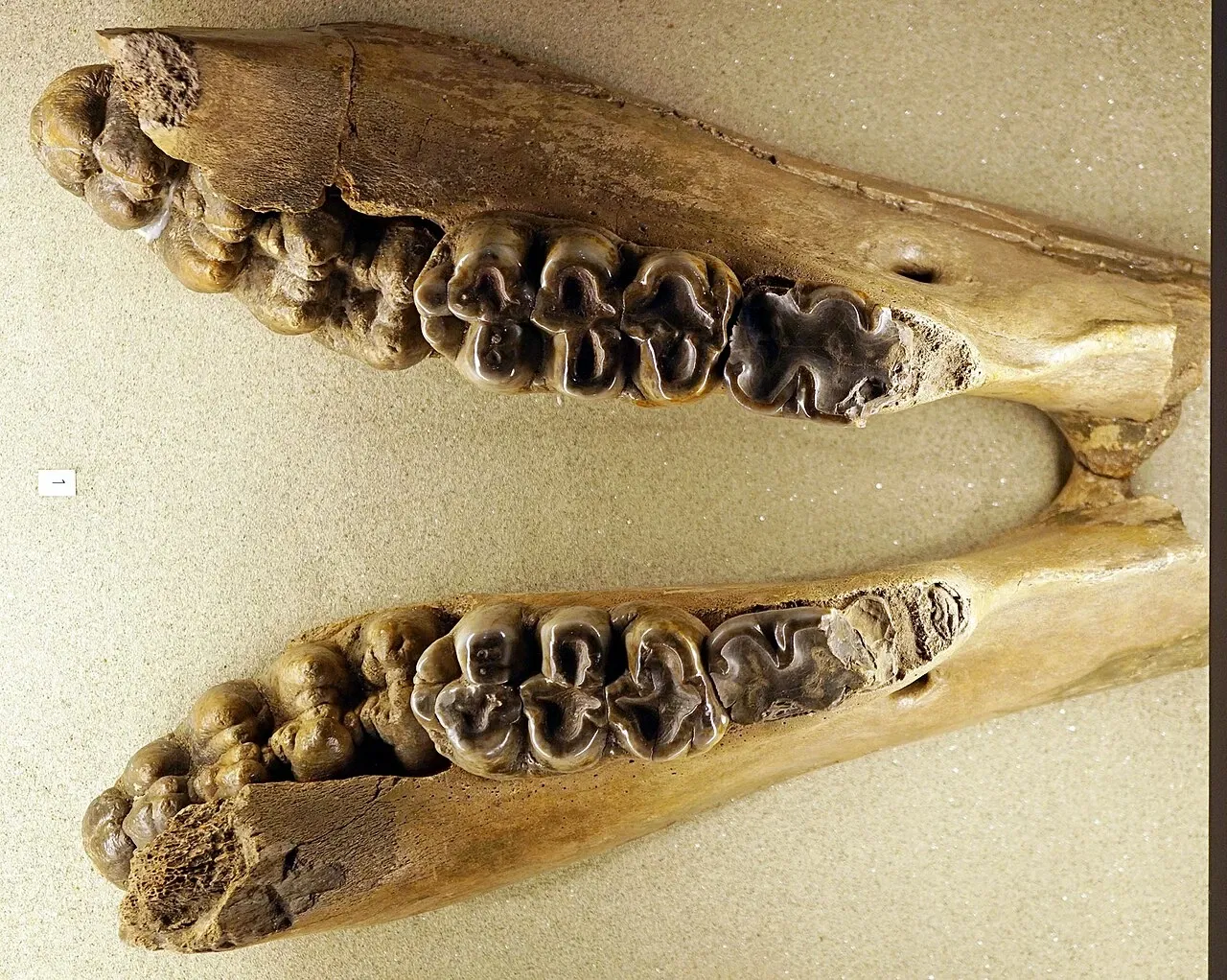 Sparkassen-Planetarium Augsburg