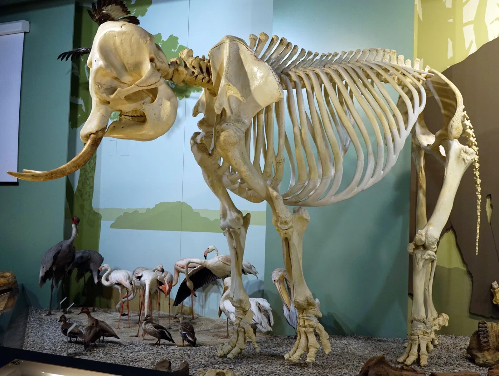 Sparkassen-Planetarium Augsburg