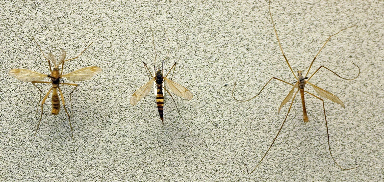Sparkassen-Planetarium Augsburg