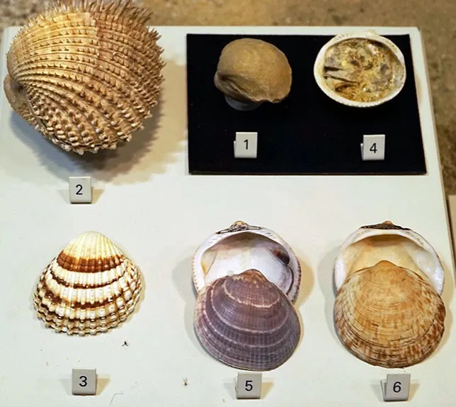 Sparkassen-Planetarium Augsburg