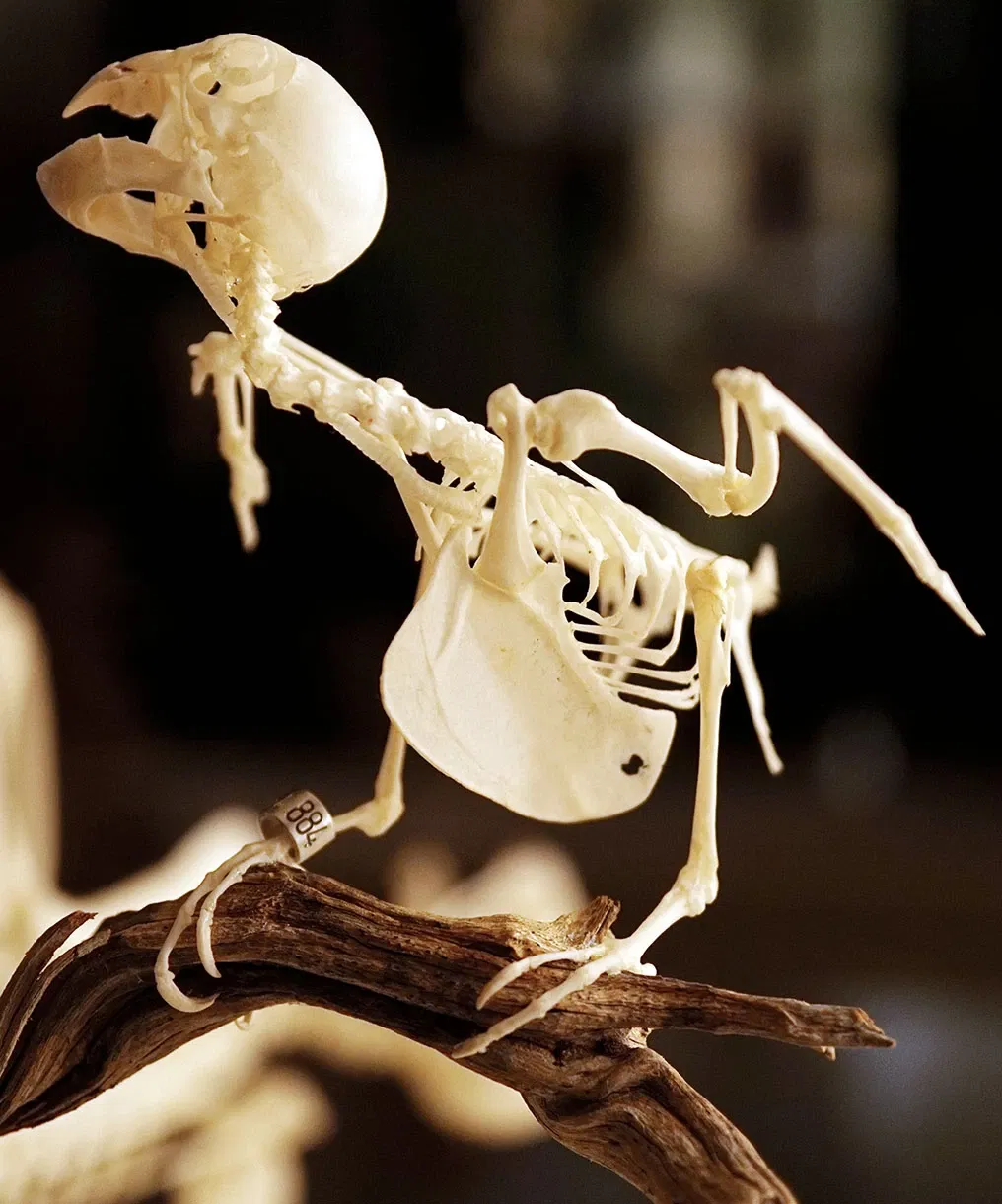 Sparkassen-Planetarium Augsburg